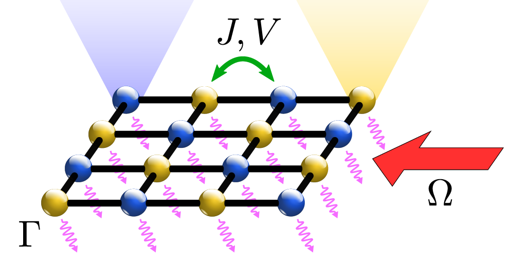 "Driven-dissipative architectures, noisy open quantum systems driven by external laser beams, define a very promising platform for the near-term quantum computers. They also give rise to new, non-equilibrium phases of matter with no counterpart in equilibrium. [Figure from Phys. Rev. X 10, 011039 (2020).]"